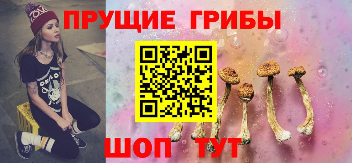 Галлюциногенные грибы Psilocybine cubensis  где найти   Вход с VPN  Тольятти  Галлюциногенные грибы Psilocybe 