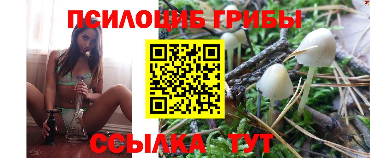 Галлюциногенные грибы Magic Shrooms Тольятти